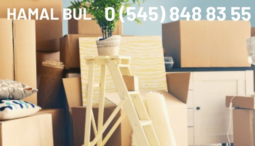 Şükrübey Hamal Arıyorum